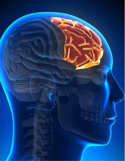 Brain Injury Awareness